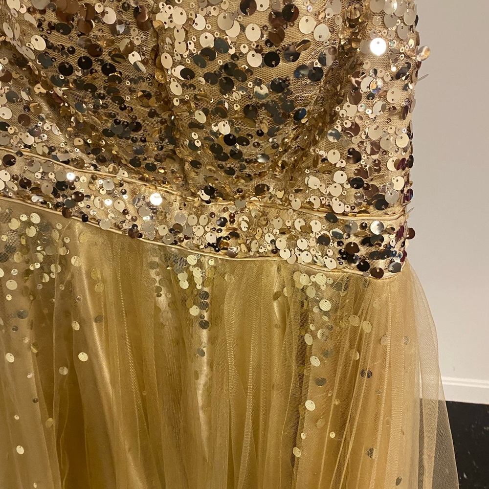 Prom/Formal Dress - Picture 2 of 4